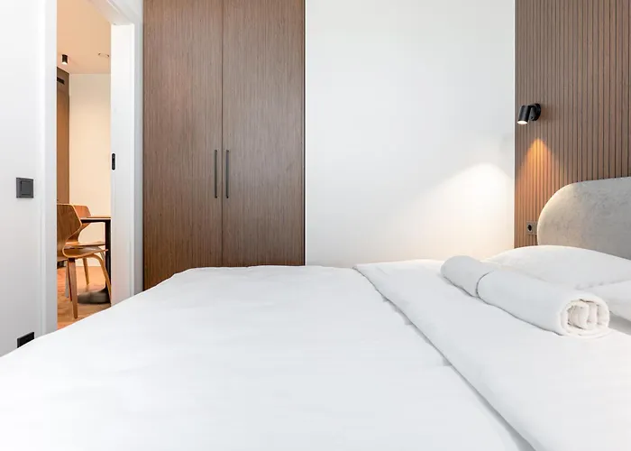 Fresh & Functional I Pool I Cohost Palanga