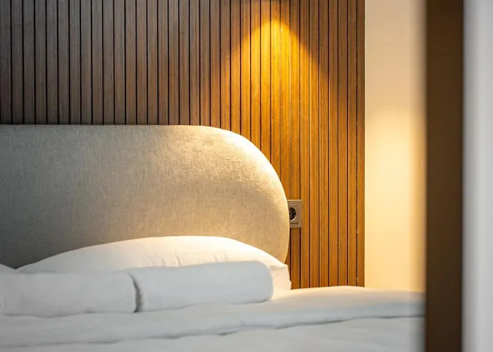 Fresh & Functional I Pool I Cohost Palanga