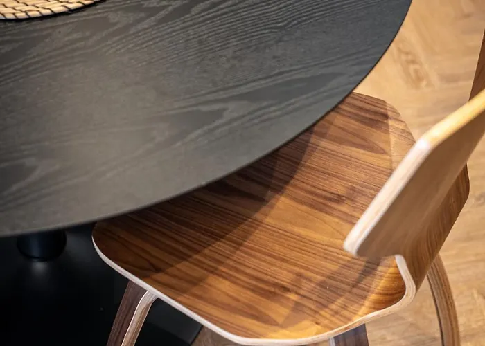 Fresh & Functional I Pool I Cohost Palanga