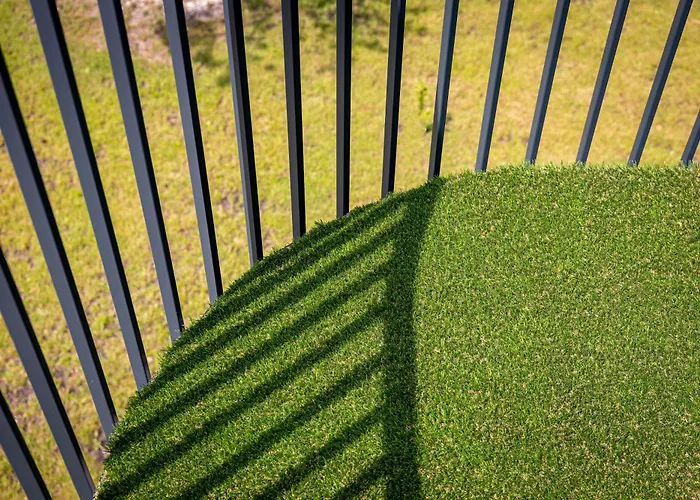 Fresh & Functional I Pool I Cohost Palanga