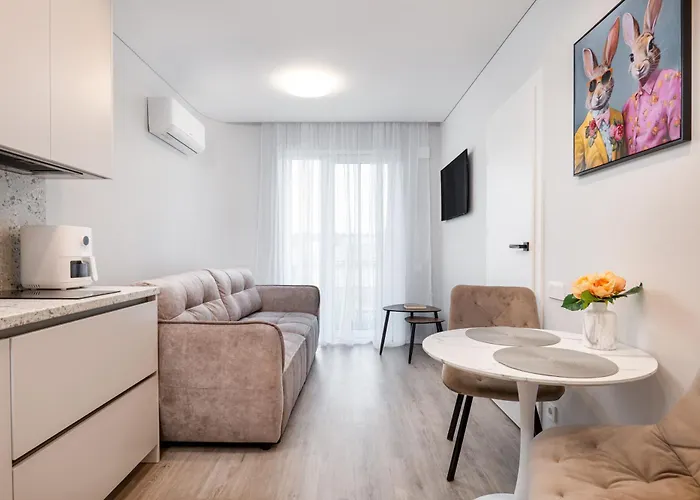 Fresh & Functional I Pool I Cohost Palanga